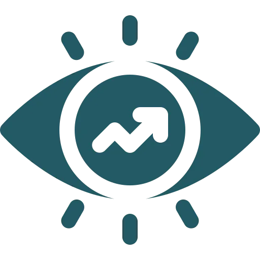 vision icon